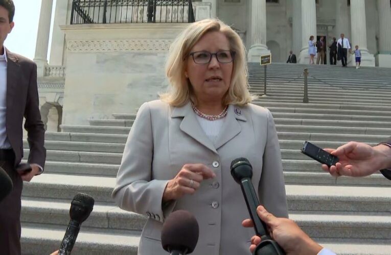 See what Liz Cheney had to say about McCarthy