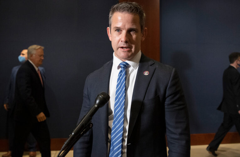 The appointment comes days after McCarthy pulled his five GOP members from the committee, after Pelosi rejected two of his choices