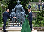 Prince William and Harry’s Diana statue unveiling demonstrates ‘new Spencer generation taking’