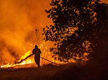 Fire leaves trail of devastation in Cyprus as four people dead after wildfire rips through village