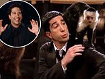 Friends monkey trainer says David Schwimmer is ‘jealous’ of Marcel