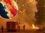 California faces ANOTHER record-setting heatwave with temperatures set to hit up to 117°F