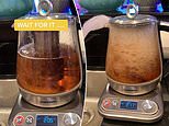American woman attempts to make tea in an electric kettle in hilarious TikTok video