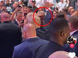Mel Gibson is seen SALUTING Donald Trump at UFC match