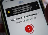 Coronavirus UK: Up to A FIFTH of Britain’s workforce is being told to self isolate by NHS app