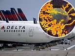 Delta Air Lines execs ‘privately grumbling’ about the Indian COVID-19 strain having the same name