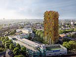 New ‘polluter pays’ tax on high-rises will fund repair of fire safety defects in wake of Grenfell