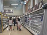 Pingdemic crisis deepens: Supermarket shelves empty as food supply chains ‘start to fail’