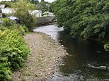 Boy, five, dies after being pulled from river in Wales in the early morning