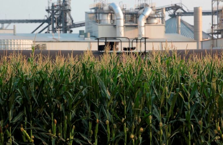 Carbon-capture pipelines offer climate aid; activists wary