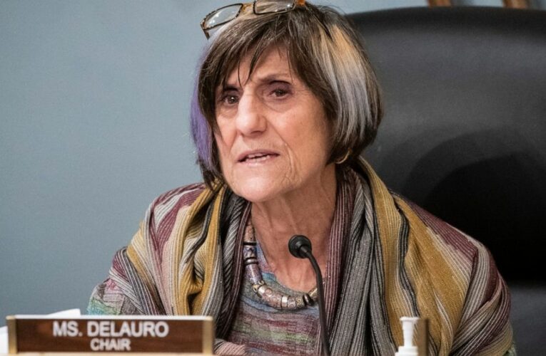 Proposal would ban mink farming to stem coronavirus mutation