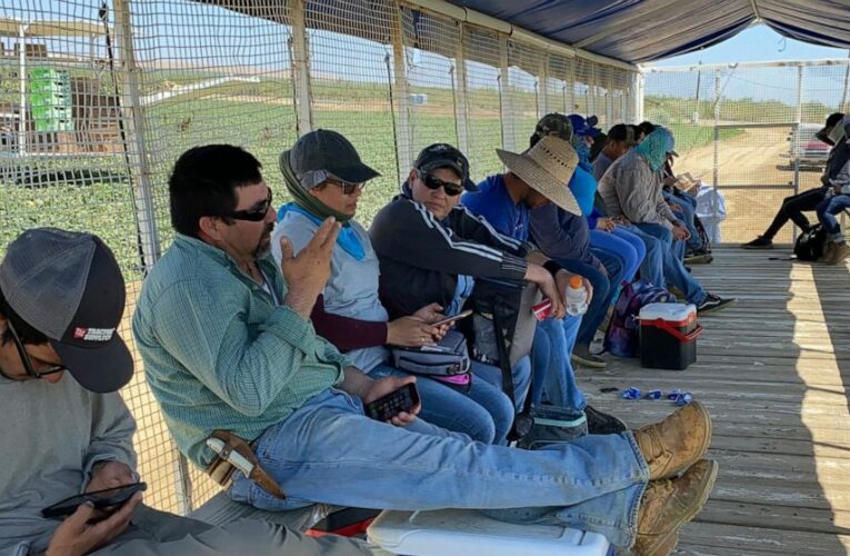 Pacific Northwest strengthens heat protections for workers