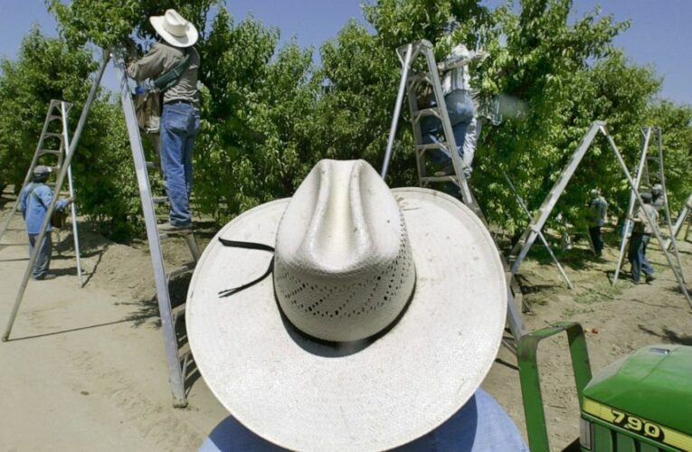 Pesticide caused kids’ brain damage, California lawsuits say