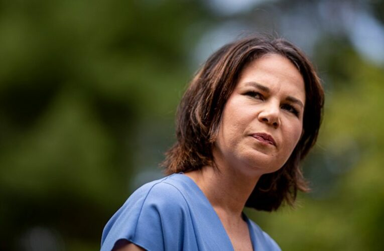 German Greens: Preventing climate disasters will be costly