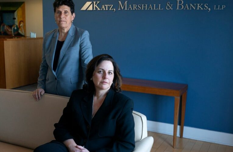 For top #MeToo legal duo, a pandemic year brings no pause