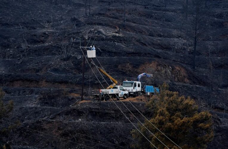 Cyprus forest fire that killed 4 now under control