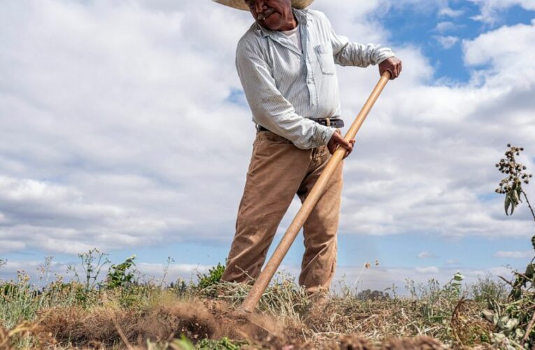 Oregon adopts most protective heat rules for workers in US