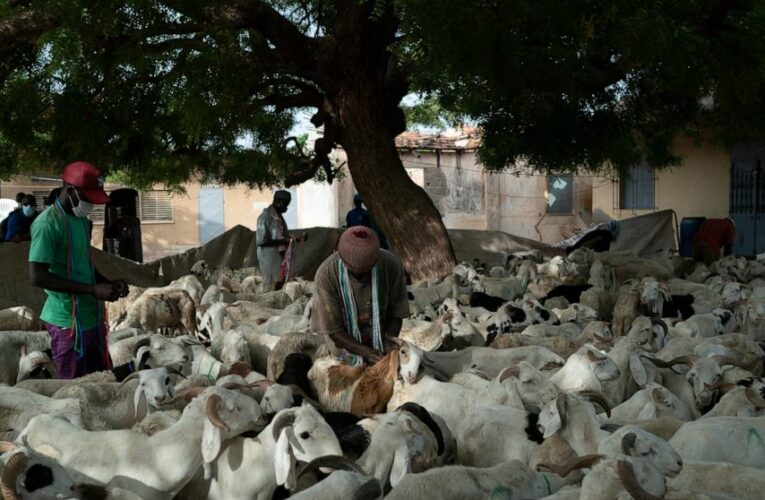 Senegal to celebrate Tabaski amid dramatic COVID-19 surge