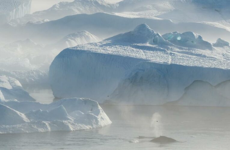 A crucial ocean circulation is showing signs of instability. Its shutdown would have serious impacts on our weather.