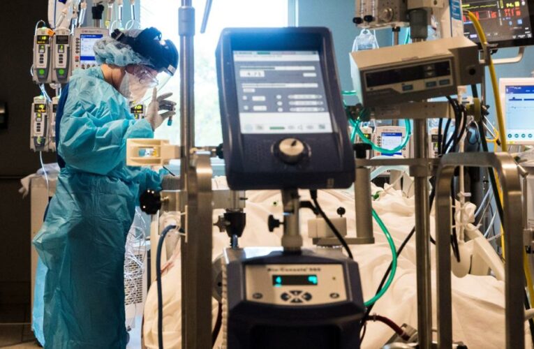 ‘If you look at rates of transmission in Florida and Louisiana, they’re actually probably the highest in the world,’ Dr. Peter Hotez says about new Covid cases