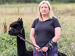 Geronimo the alpaca’s 30-day ‘kill window’ opens today for Government to execute beloved animal