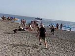 Sunbathers on Spanish beach catch drug runner  as he tries to flee with 800kg of cannabis