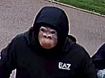 West Midlands Police hunt Stourbridge robber who raided elderly couple’s home wearing MONKEY mask&nbsp;