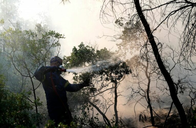Greece wildfires: 2 new blazes break out amid strong winds