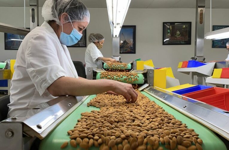 California drought takes toll on world’s top almond producer