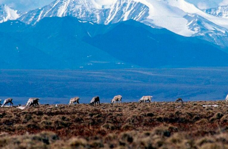 Judge throws out Trump-era approvals for Alaska oil project
