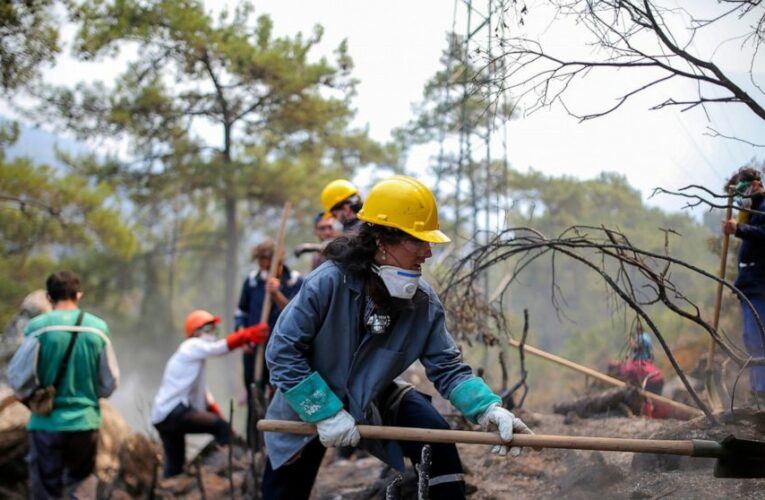 Wildfire reaches Turkey power plant, prompts evacuations