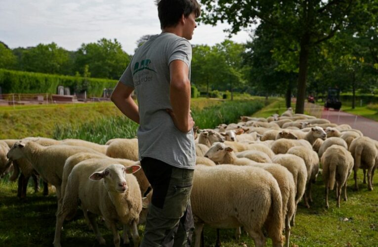 After UN climate report, individuals seek to do their part