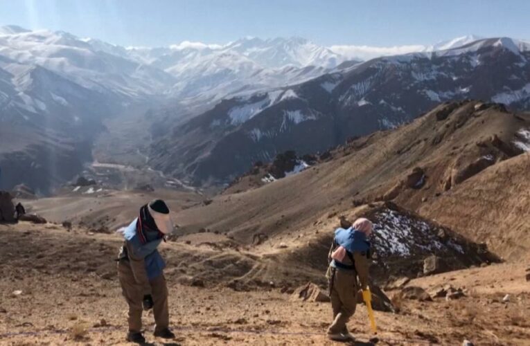 The Taliban is asking for help locating explosives they laid