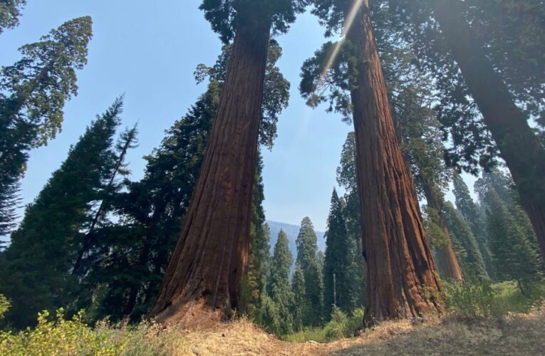 Climate change could wipe out iconic California landmarks