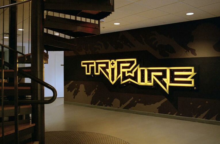 Video game CEO is out after praising Texas abortion law