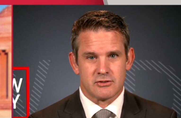 ‘I don’t disagree’: GOP lawmaker reacts to reports on Trump’s ‘mental decline’