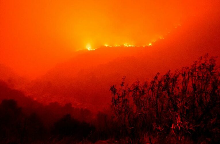 The planet is on a ‘catastrophic’ global warming path, UN report shows