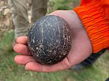 Archaeology: Polished stone balls thought more than 4,000 years old are discovered in Orkney tomb 