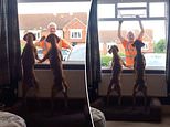 Vizsla dogs patiently wait by a window for a binman they love  