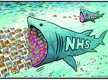 Now NHS wants to hire £270k bosses: Fears over where cash raised by social care reforms going 