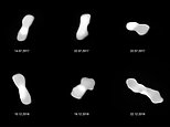 Astronomers capture best images yet of a bizarre DOG BONE-shaped asteroid