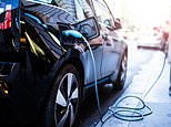 Drivers’ appetite for electric and hybrid cars soar during the pandemic