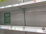 Supermarket shortages may last ‘FOREVER’, says food and drink federation chief