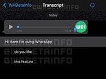 WhatsApp is working on transcription feature for voice messages but the calls will be sent to Apple