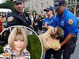 Huge crowd of ‘BLM’ protesters gather outside NYC’s The Met