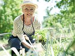 When will you retire? The average age is 59 but many will work longer
