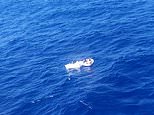 Shipwrecked Venezuelan mother died of thirst despite drinking her own URINE while kids survived