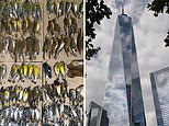 Almost 300 migratory birds are killed after slamming into New York’s WTC in less than 24 hours