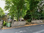 Throwing shade! Defiant homeowner, 61, REFUSES to trim 65ft conifer trees