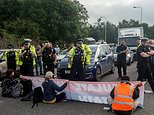 Shameless eco-warrior teacher, 31, has been arrested THREE times